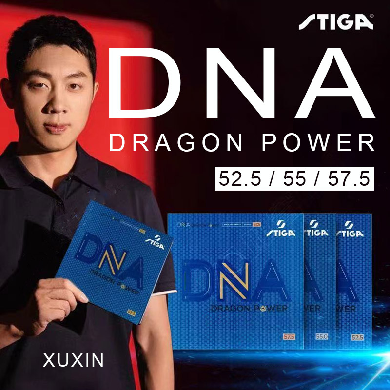 STIGA DNA DRAGON POWER Table T – Table Tennis Germany recenzja i cena