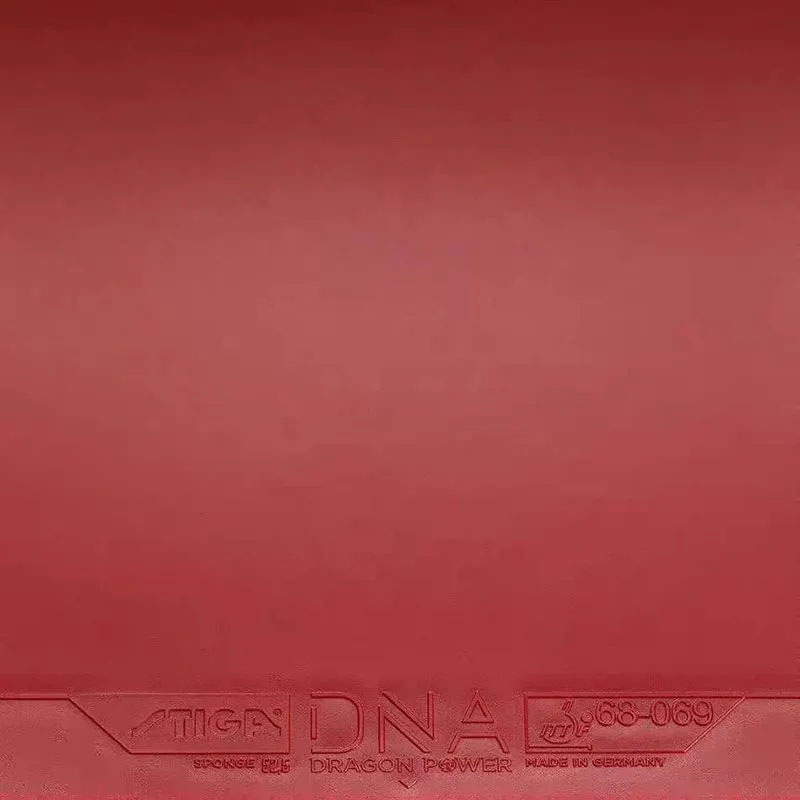 STIGA DNA DRAGON POWER Table T – Table Tennis Germany recenzja i cena