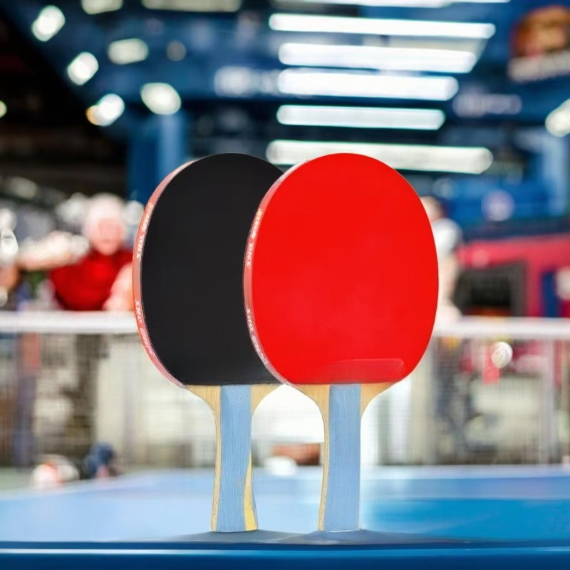 New Arrive Top Ranking  Profes – Table Tennis Ranking recenzja i cena