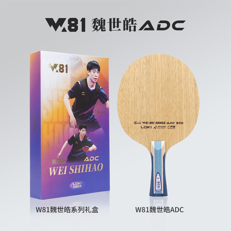 LOKI W81 Series Wei Shihao Tab – Table Tennis Table recenzja i cena