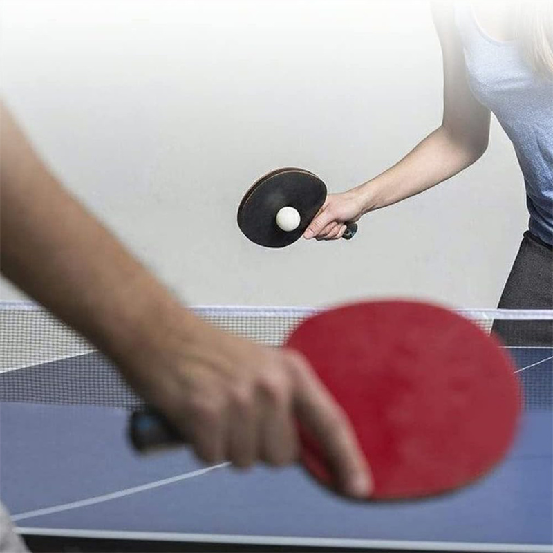 Portable Table Tennis Net Poly – Table Tennis Online recenzja i cena