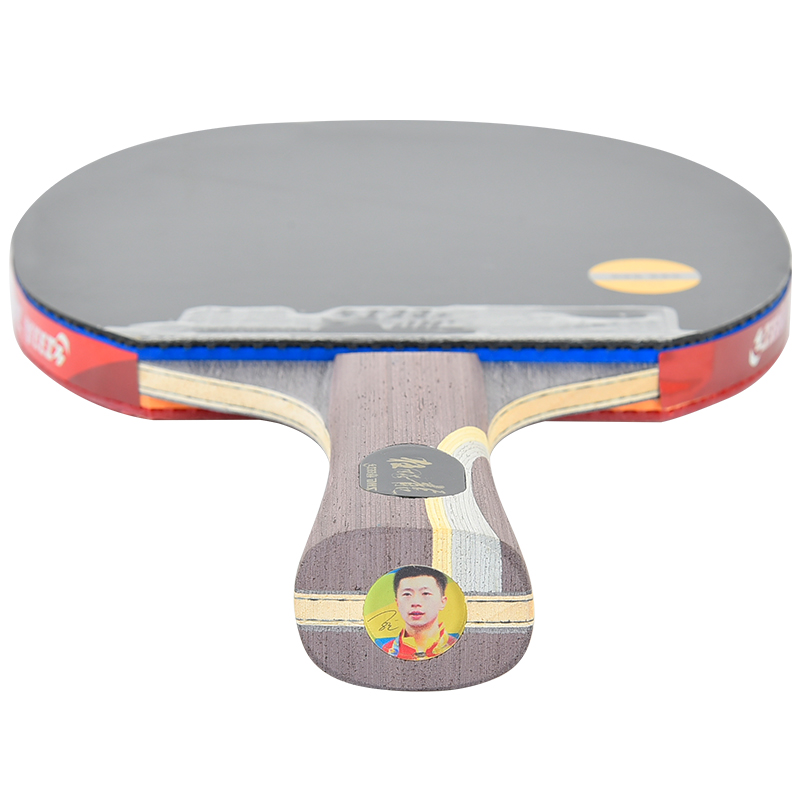 DHS Ma Long 5 Professional Tab – Table Tennis Ranking recenzja i cena