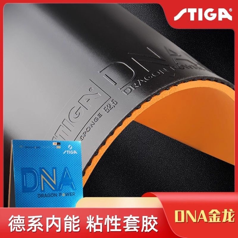 STIGA DNA DRAGON POWER Table T – Table Tennis Germany recenzja i cena