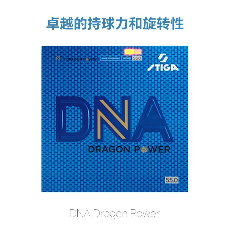 STIGA DNA DRAGON POWER Table T – Table Tennis Germany recenzja i cena