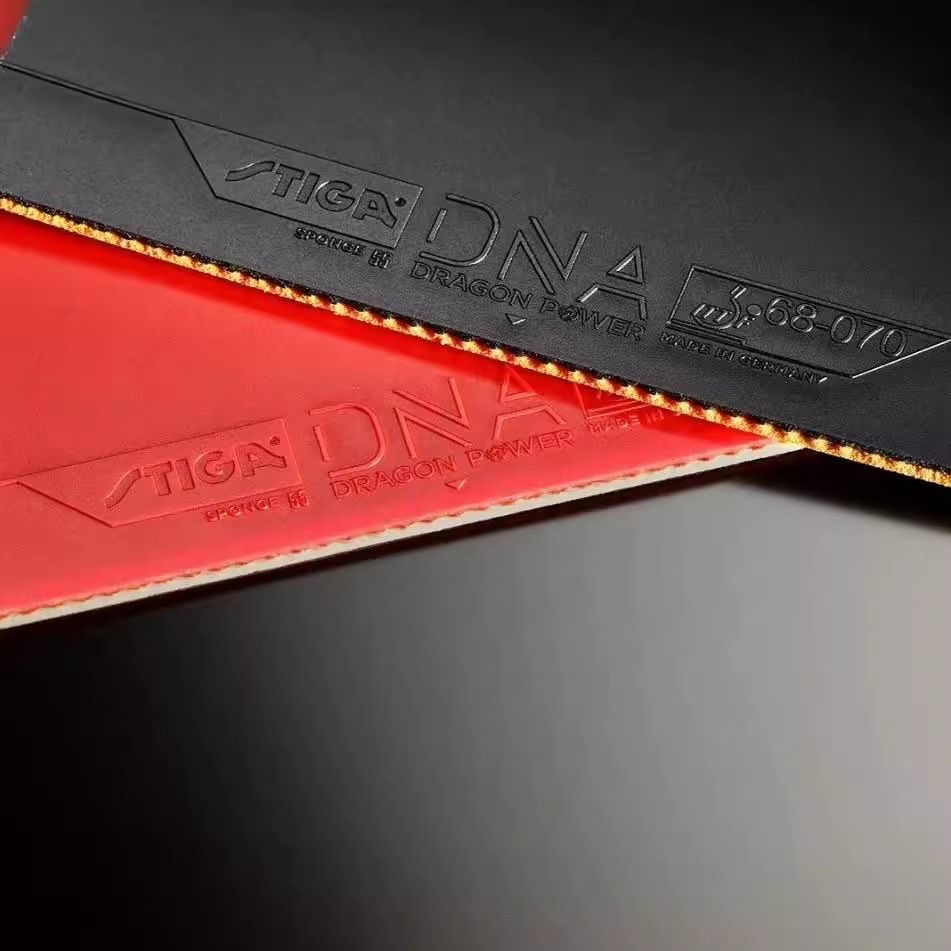 STIGA DNA DRAGON POWER Table T – Table Tennis Germany recenzja i cena