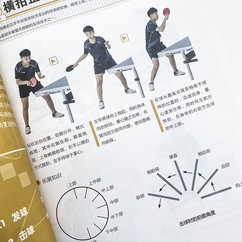 Table Tennis Fundamentals: Ill – Table Tennis Video recenzja i cena
